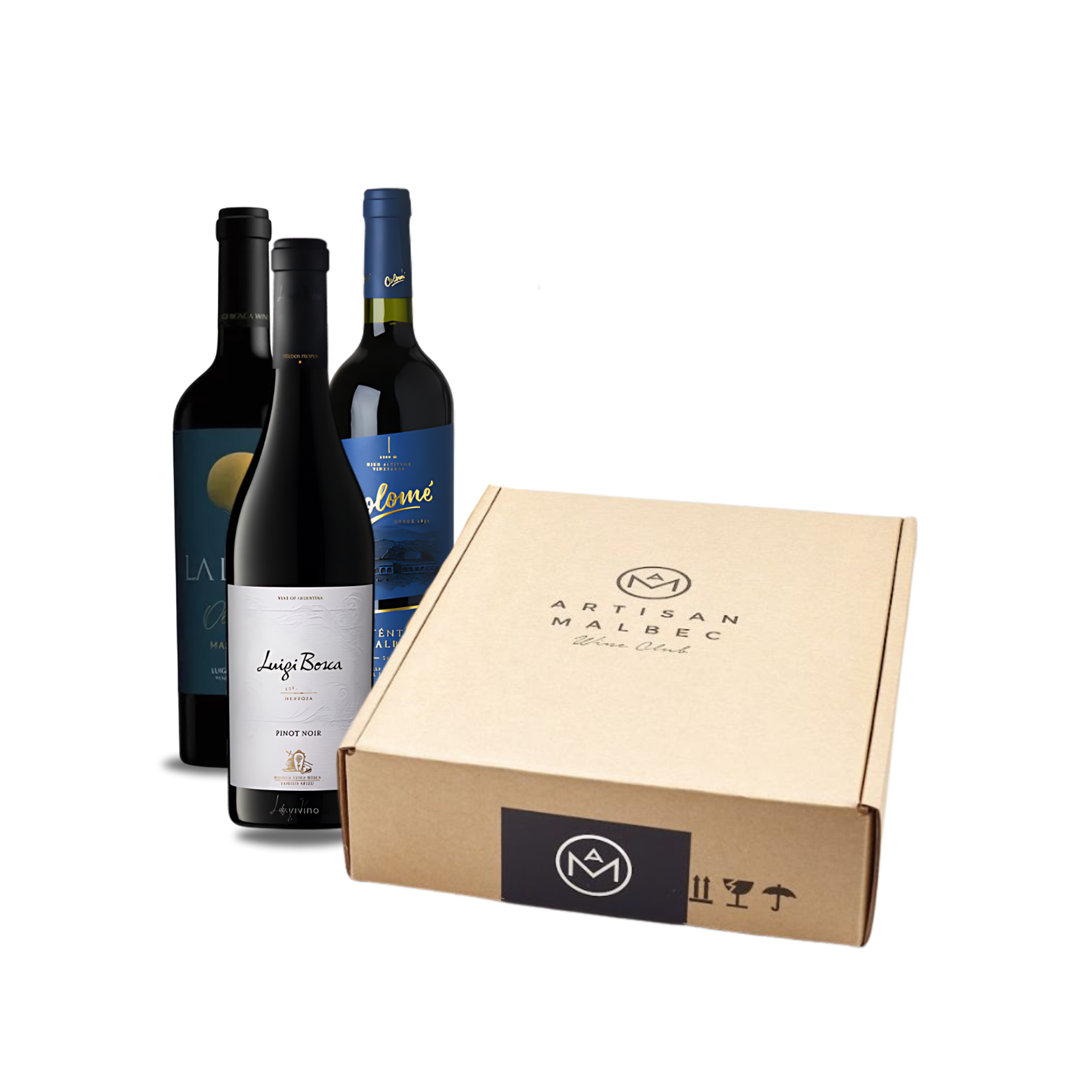 3 WINE BOTTLES CASE