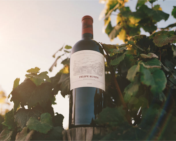 Felipe Rutini 2018 – The Pinnacle of Argentine Winemaking - Limited allocation